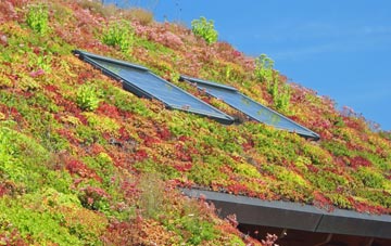 Kippford living roof systems