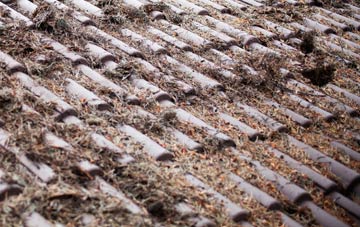 Kippford roof cleaning companies