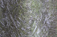 Kippford fibreglass roof work